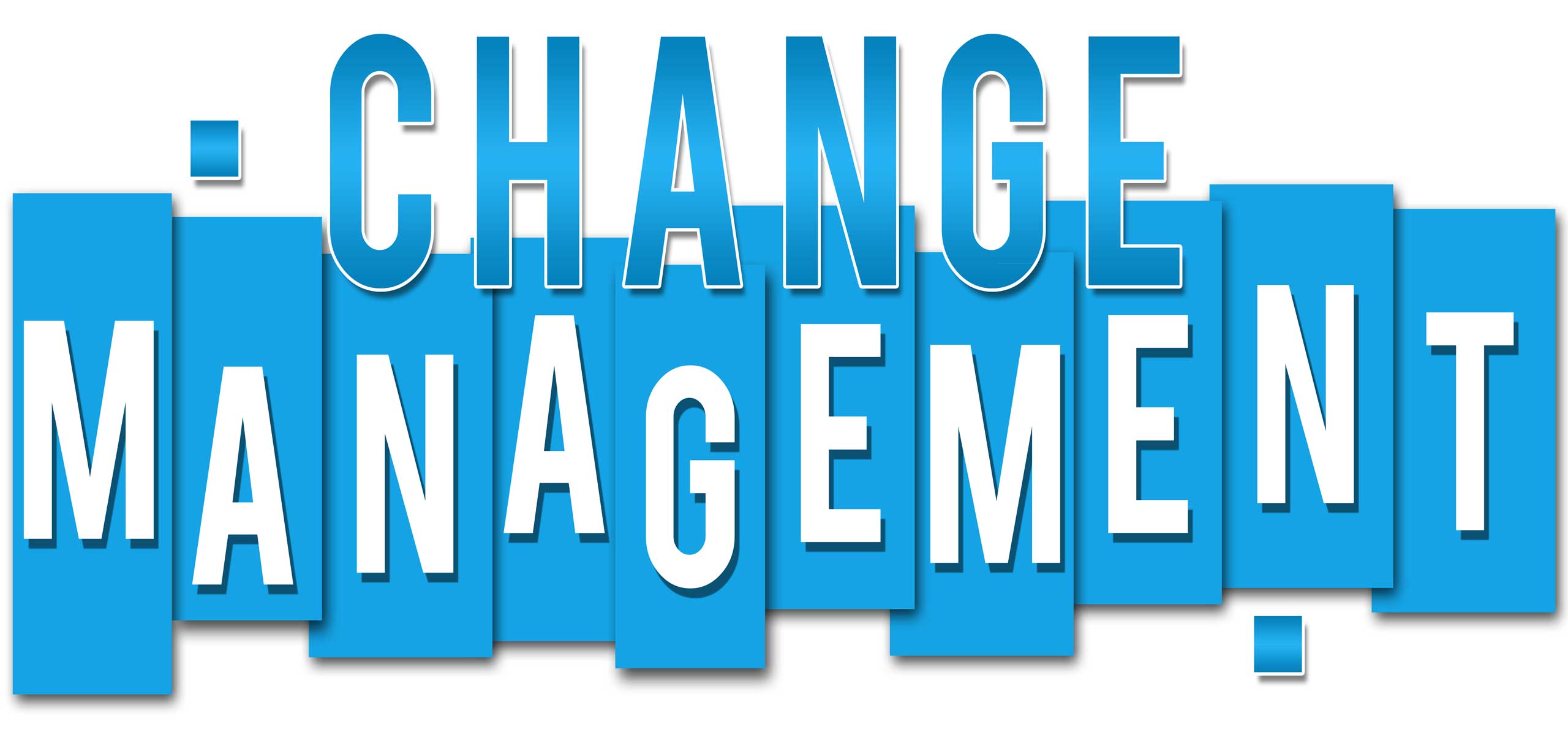 MANAGEMENTUL SCHIMBARII change management